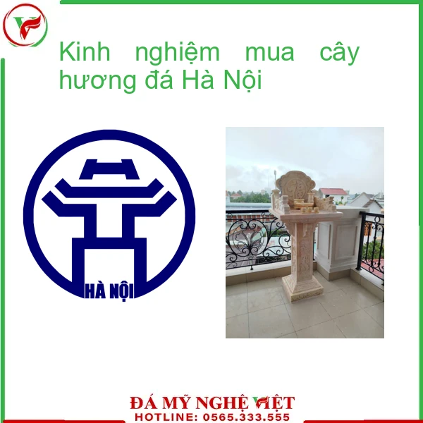 Kinh nghiệm mua cây hương đá Hà Nội-f2-1987